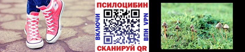 Галлюциногенные грибы прущие грибы  что такое   Кириши 