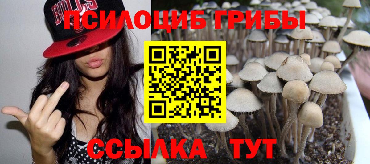 Псилоцибиновые грибы прущие грибы Кириши