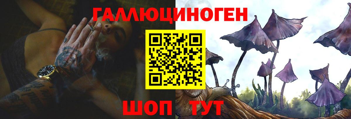Кириши  Псилоцибиновые грибы прущие грибы  Вход с VPN  Псилоцибиновые грибы Psilocybe 