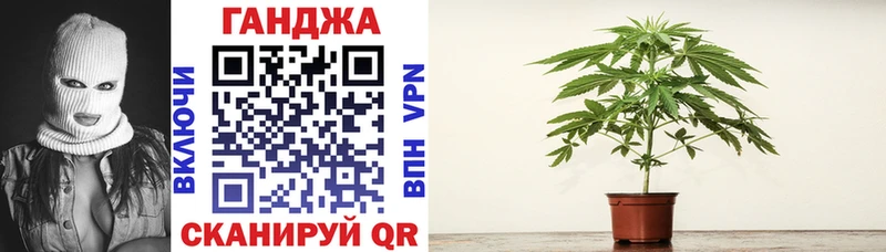 что такое Кириши Бошки марихуана сатива
